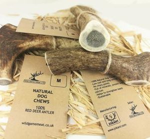 red deer antler